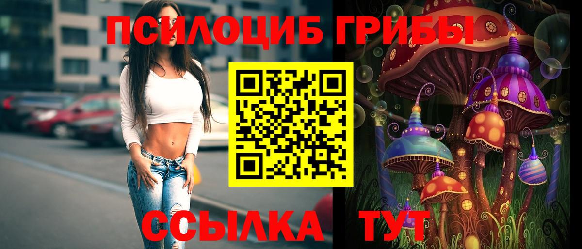 наркотики  Псилоцибиновые грибы мухоморы  Вход с VPN  Галлюциногенные грибы MAGIC MUSHROOMS  Великий Новгород 