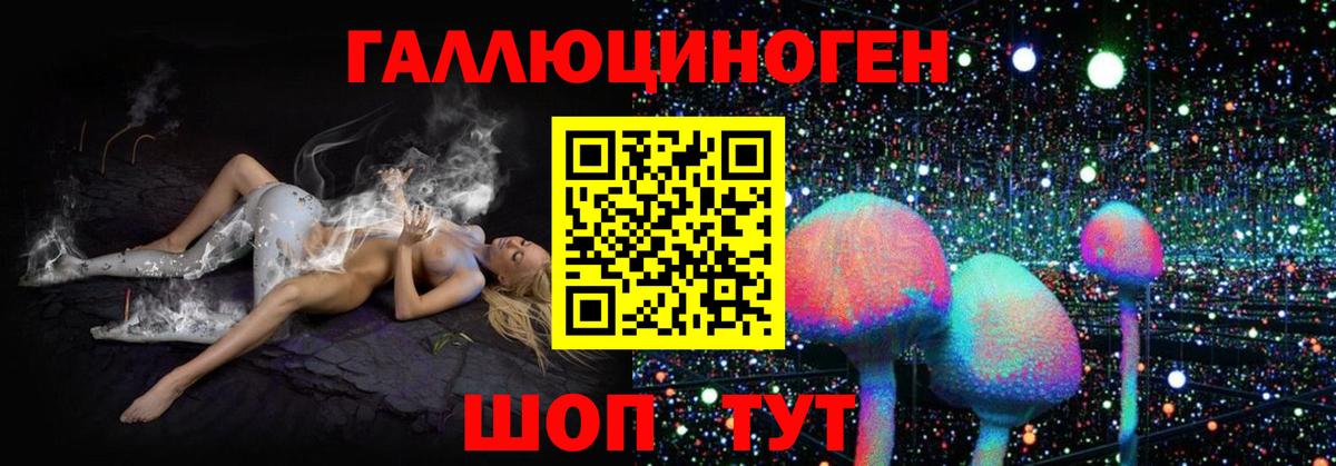 Галлюциногенные грибы MAGIC MUSHROOMS Великий Новгород